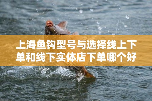 上海鱼钩型号与选择线上下单和线下实体店下单哪个好：全面分析与指南