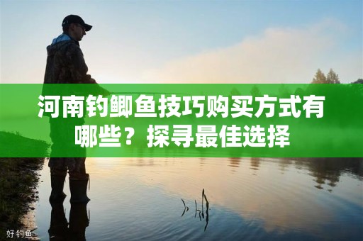 河南钓鲫鱼技巧购买方式有哪些？探寻最佳选择