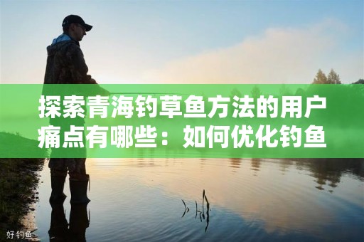 探索青海钓草鱼方法的用户痛点有哪些：如何优化钓鱼体验