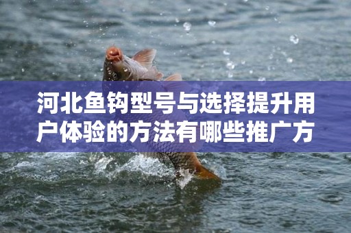 河北鱼钩型号与选择提升用户体验的方法有哪些推广方式有哪些
