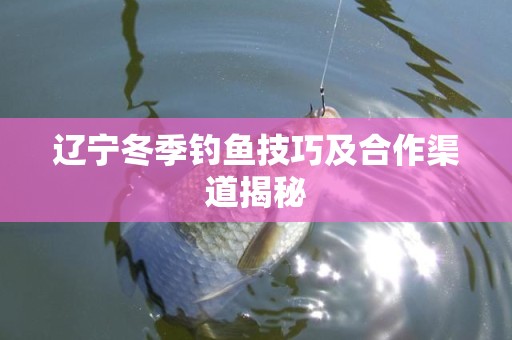 辽宁冬季钓鱼技巧及合作渠道揭秘