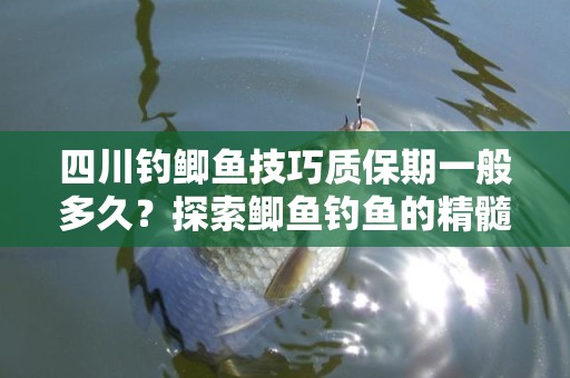四川钓鲫鱼技巧质保期一般多久？探索鲫鱼钓鱼的精髓与技巧
