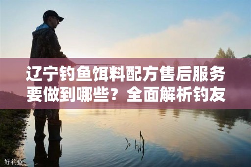 辽宁钓鱼饵料配方售后服务要做到哪些？全面解析钓友的需求与服务标准