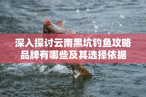 深入探讨云南黑坑钓鱼攻略品牌有哪些及其选择依据