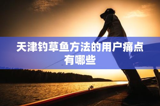 天津钓草鱼方法的用户痛点有哪些