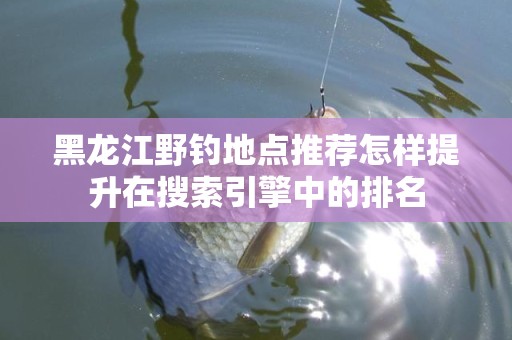 黑龙江野钓地点推荐怎样提升在搜索引擎中的排名
