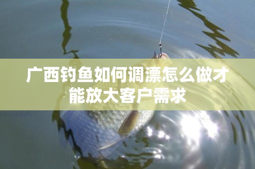 广西钓鱼如何调漂怎么做才能放大客户需求