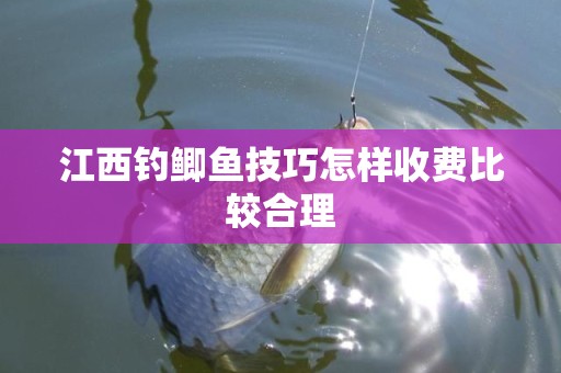 江西钓鲫鱼技巧怎样收费比较合理