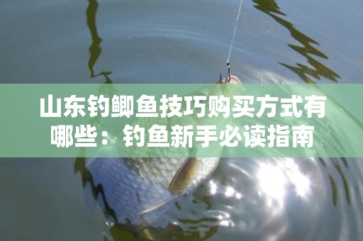 山东钓鲫鱼技巧购买方式有哪些：钓鱼新手必读指南