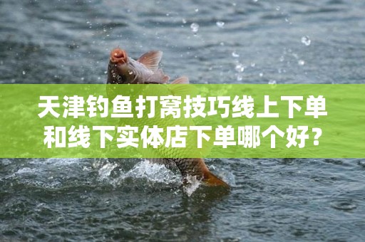天津钓鱼打窝技巧线上下单和线下实体店下单哪个好？