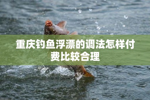 重庆钓鱼浮漂的调法怎样付费比较合理