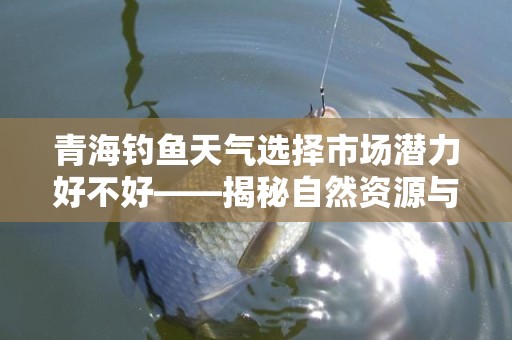 青海钓鱼天气选择市场潜力好不好——揭秘自然资源与市场需求