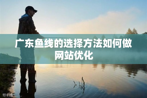 广东鱼线的选择方法如何做网站优化
