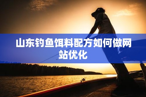 山东钓鱼饵料配方如何做网站优化
