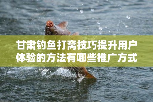 甘肃钓鱼打窝技巧提升用户体验的方法有哪些推广方式有哪些