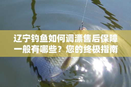 辽宁钓鱼如何调漂售后保障一般有哪些？您的终极指南