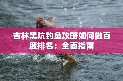 吉林黑坑钓鱼攻略如何做百度排名：全面指南