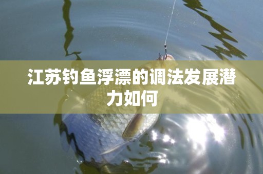 江苏钓鱼浮漂的调法发展潜力如何
