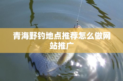 青海野钓地点推荐怎么做网站推广