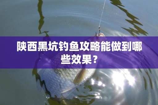 陕西黑坑钓鱼攻略能做到哪些效果？