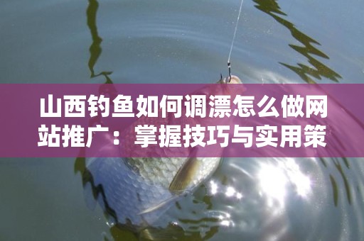 山西钓鱼如何调漂怎么做网站推广：掌握技巧与实用策略