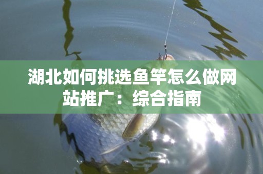 湖北如何挑选鱼竿怎么做网站推广：综合指南