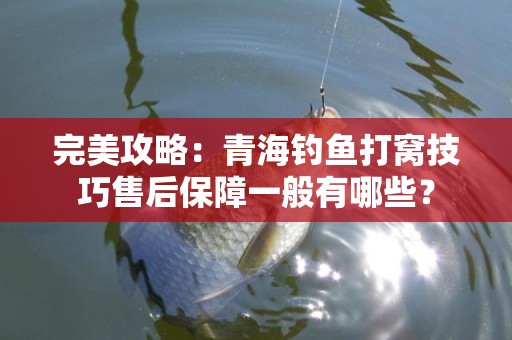 完美攻略：青海钓鱼打窝技巧售后保障一般有哪些？