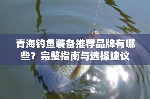 青海钓鱼装备推荐品牌有哪些？完整指南与选择建议
