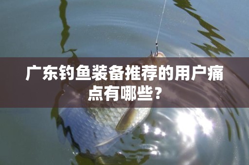 广东钓鱼装备推荐的用户痛点有哪些？