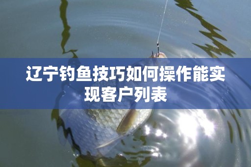 辽宁钓鱼技巧如何操作能实现客户列表