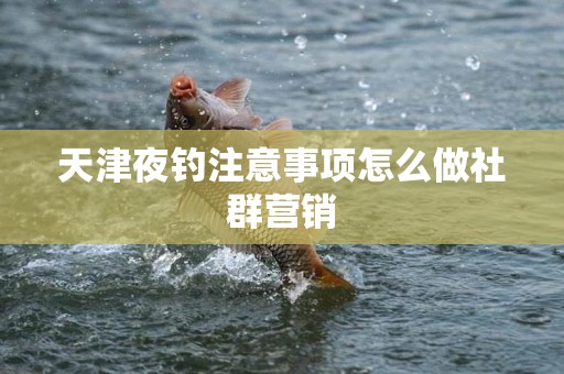 天津夜钓注意事项怎么做社群营销