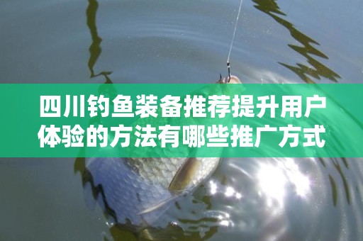 四川钓鱼装备推荐提升用户体验的方法有哪些推广方式有哪些