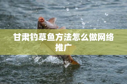 甘肃钓草鱼方法怎么做网络推广