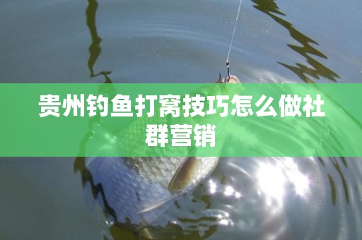 贵州钓鱼打窝技巧怎么做社群营销