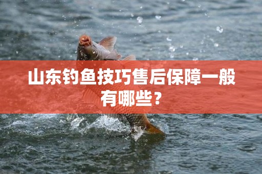 山东钓鱼技巧售后保障一般有哪些？