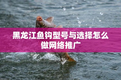 黑龙江鱼钩型号与选择怎么做网络推广