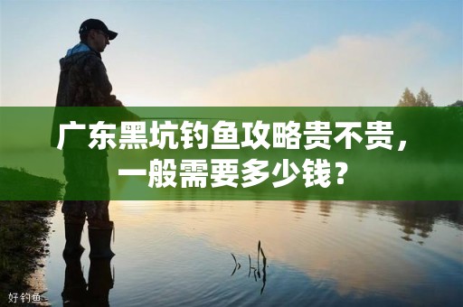 广东黑坑钓鱼攻略贵不贵，一般需要多少钱？