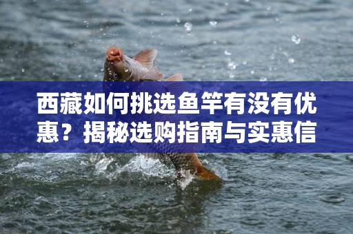 西藏如何挑选鱼竿有没有优惠？揭秘选购指南与实惠信息