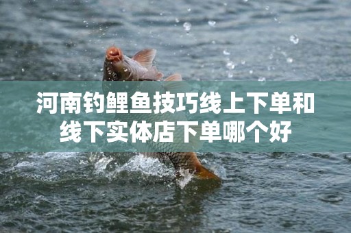 河南钓鲤鱼技巧线上下单和线下实体店下单哪个好