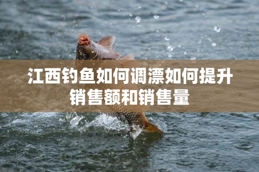 江西钓鱼如何调漂如何提升销售额和销售量