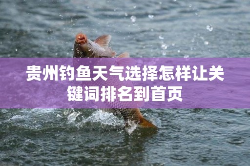 贵州钓鱼天气选择怎样让关键词排名到首页