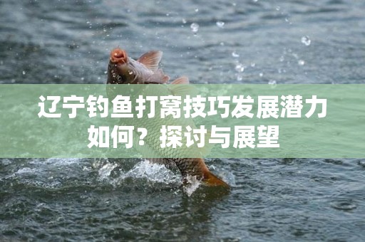辽宁钓鱼打窝技巧发展潜力如何？探讨与展望