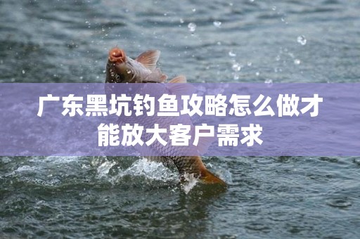 广东黑坑钓鱼攻略怎么做才能放大客户需求