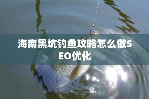 海南黑坑钓鱼攻略怎么做SEO优化