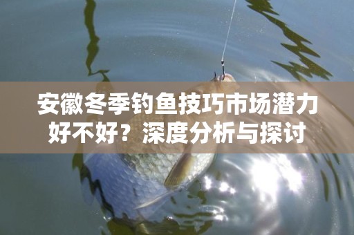 安徽冬季钓鱼技巧市场潜力好不好？深度分析与探讨