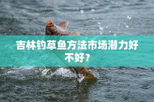 吉林钓草鱼方法市场潜力好不好？