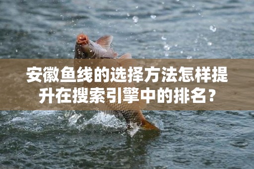 安徽鱼线的选择方法怎样提升在搜索引擎中的排名？