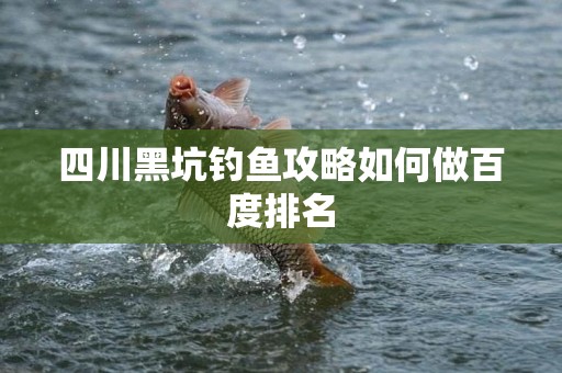 四川黑坑钓鱼攻略如何做百度排名
