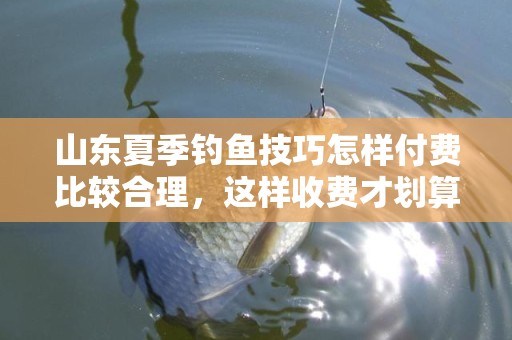 山东夏季钓鱼技巧怎样付费比较合理，这样收费才划算