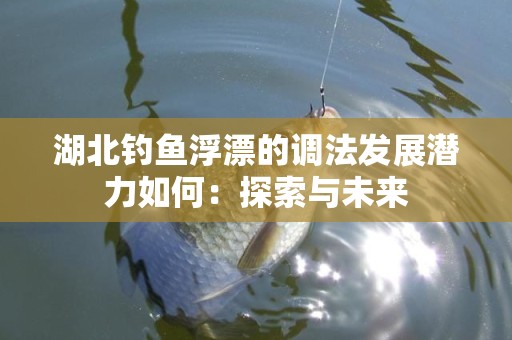 湖北钓鱼浮漂的调法发展潜力如何：探索与未来